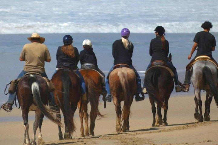 乗馬とアルカトラズ刑務所のチケット