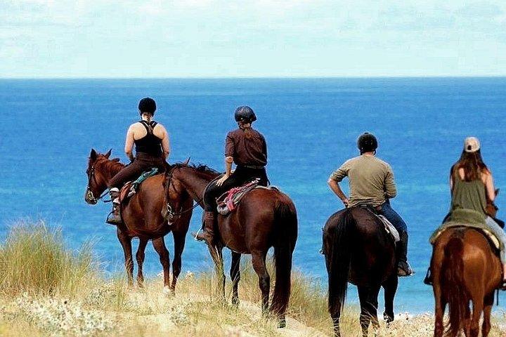乗馬とアルカトラズ刑務所のチケット