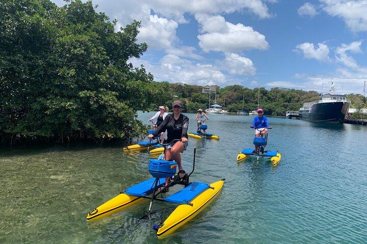 Hydrobike Harbor Tour, Reef Snorkel & Private Island Beach Break