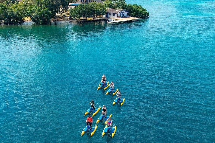 Hydrobike Harbor Tour, Reef Snorkel & Private Island Beach Break