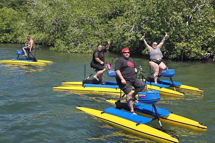 Hydrobike Harbor Tour, Reef Snorkel & Private Island Beach Break