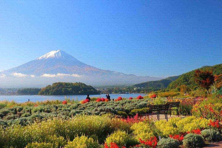 Gita di 1 giorno al Monte Fuji e nei Cinque Laghi intorno alla zona
