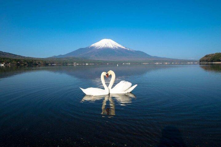 Gita di 1 giorno al Monte Fuji e nei Cinque Laghi intorno alla zona