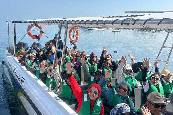 バレスタス島とワカチナオアシスへの一日ガイド付きツアー