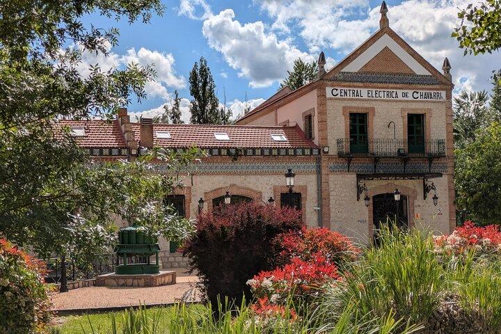 Madrid Olive Oil Experience: Mølleudflugt, smagning og landmåltid