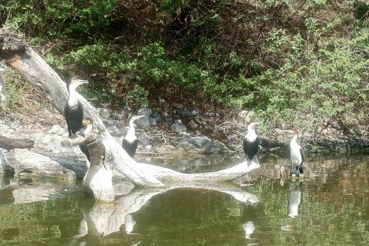 アディスからビシェフツ湖畔ボートツアー