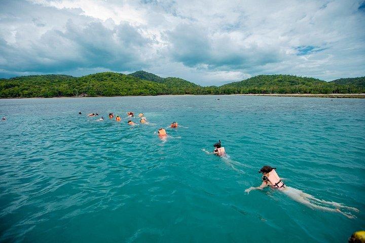 サムイ島発スピードボートで行くピッグ島タエン島シュノーケリングツアー