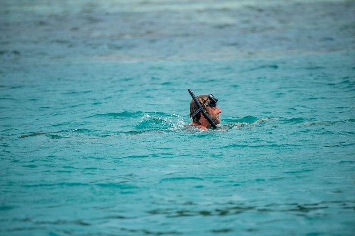 サムイ島発スピードボートで行くピッグ島タエン島シュノーケリングツアー
