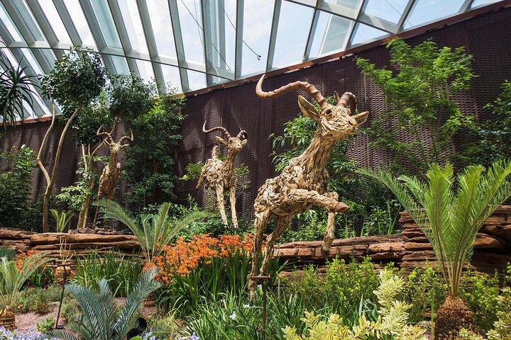 Garden by the Bay Singapur Kombi mit One-Way-Transfer