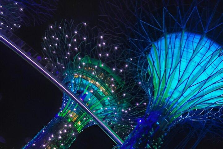 Garden by the Bay Singapur Kombi mit One-Way-Transfer