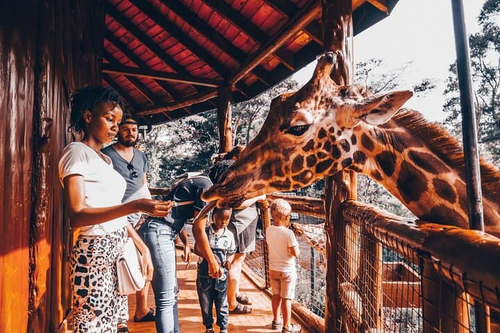 Giraffe Center, Elephant Orphanage, Beads and Museum of illusions