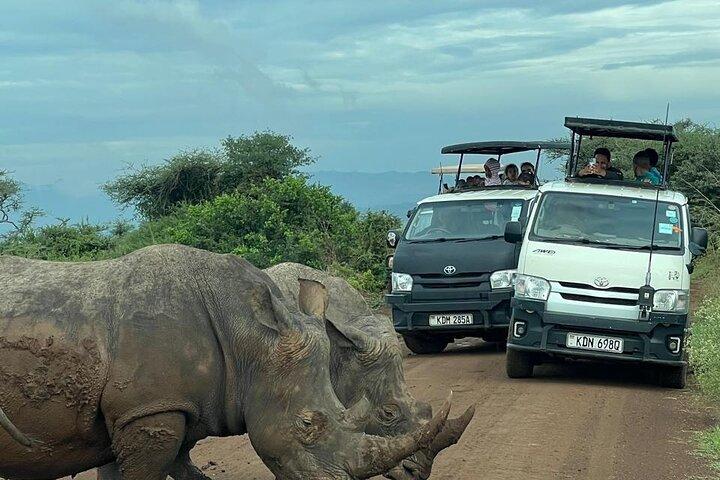 5 timmars tidig morgon Nairobi National Park Safari 6:00 Start
