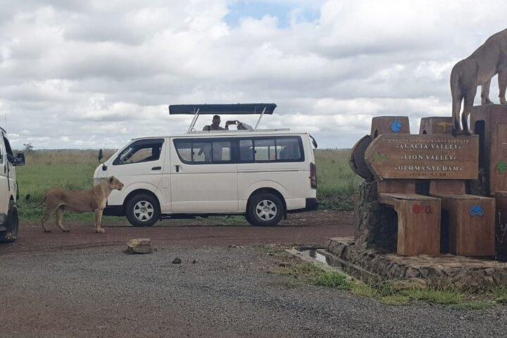 5 timmars tidig morgon Nairobi National Park Safari 6:00 Start