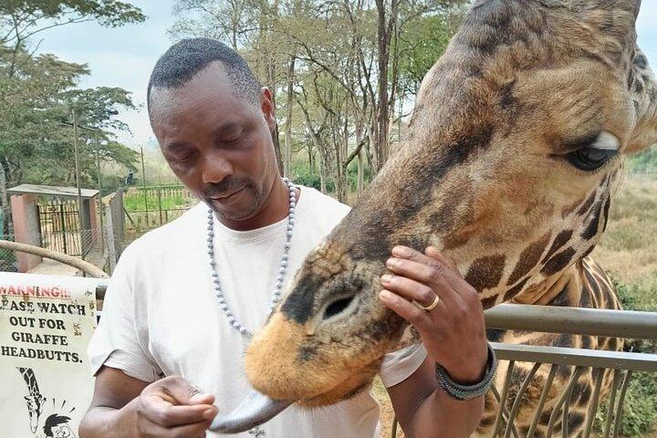 Tour compartido de Bomas de Kenia con transporte