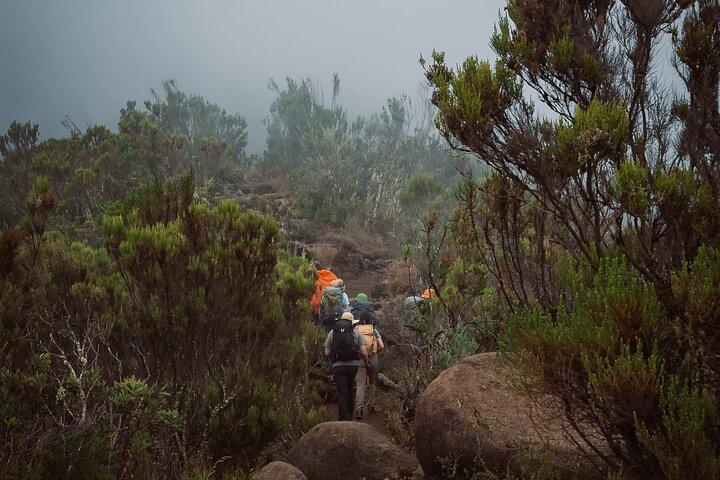 Kilimanjaro stigning, Marangu rute (6-dages)