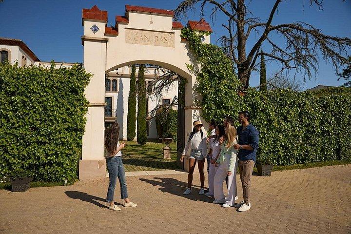 Penedes Wine & Cava Tasting & 4WD Vineyards Tour fra Barcelona