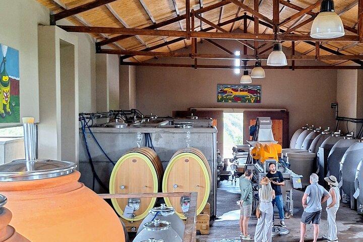 Trasferimenti privati ​​a Mendoza e Lujan de Cuyo