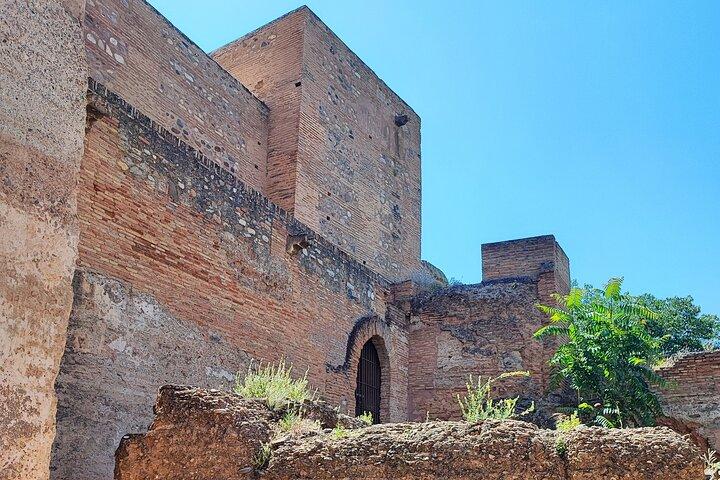 Visite guidée privée de l'Alhambra : Généralife et Alcazaba