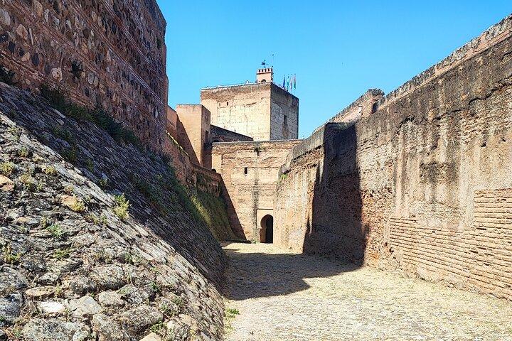 Visite guidée privée de l'Alhambra : Généralife et Alcazaba