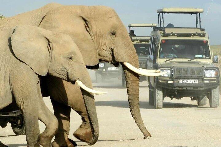 6 Day Nairobi Safari Adventure Tour