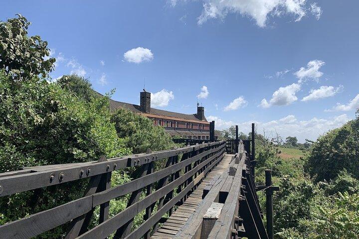 Aberdare National Park Tour From Nairobi