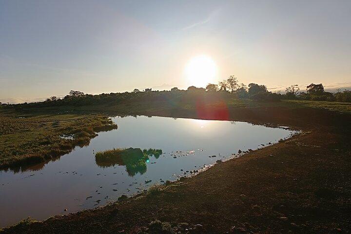 Aberdare National Park Tour From Nairobi