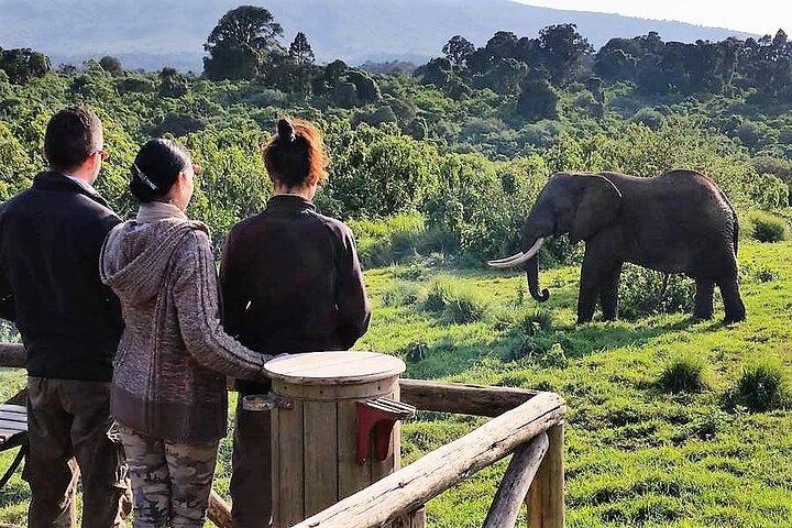 Aberdare National Park Tour From Nairobi