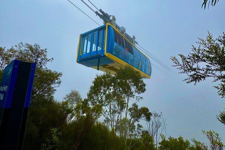 Blue Mountains Day Tours W Mondo panoramico e pranzo