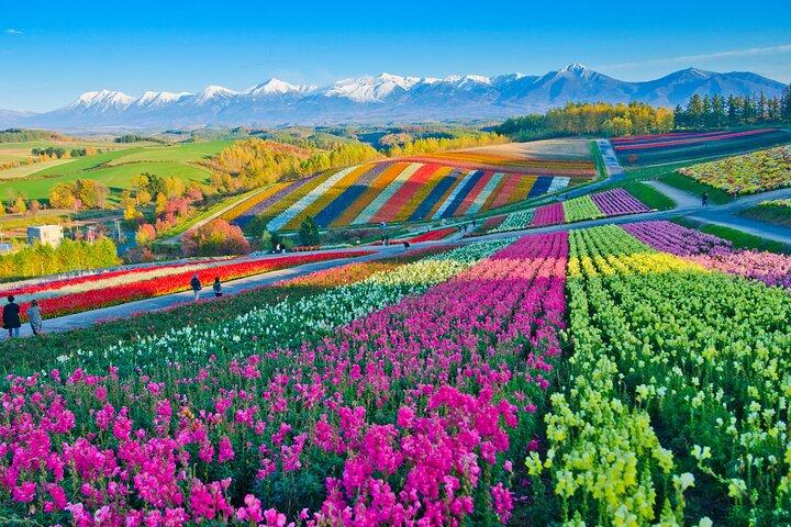 Hokkaido Private Tour parte da Sapporo