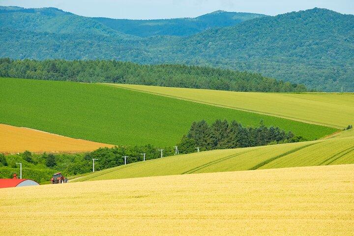Hokkaido Private Tour parte da Sapporo