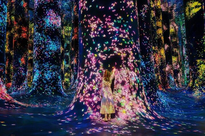 TeamLab Phenomena Abu Dhabi Tickets