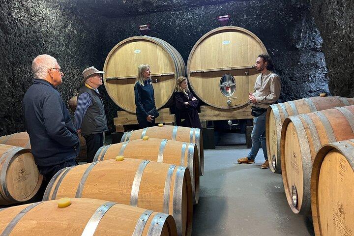 Loire Valley Wine & Castle Tour de Paris com degustação e pickup