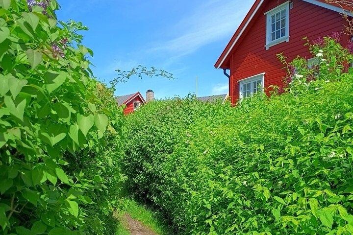 Visite privée de l'île d'Oslofjord