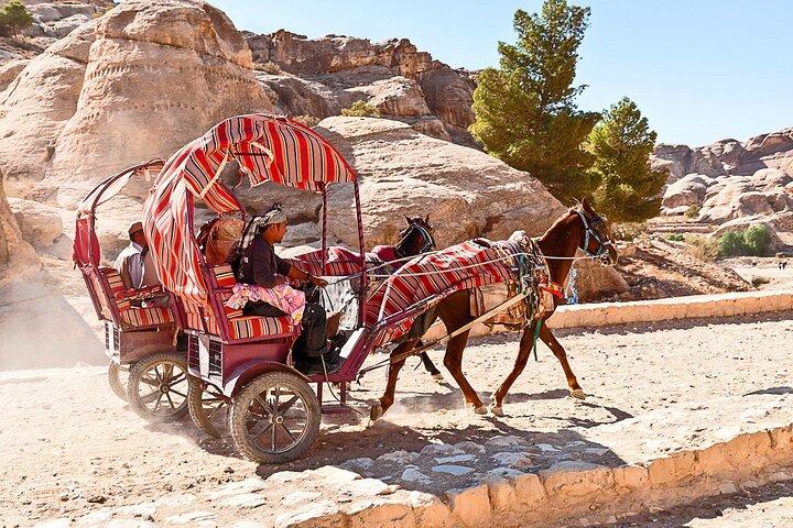 Tour di cinque giorni ad Aqaba, Petra, wadi rum, Dead see, Battesimo, nepo