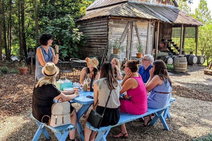 Visita ao Vineyard do Vale de Yadkin