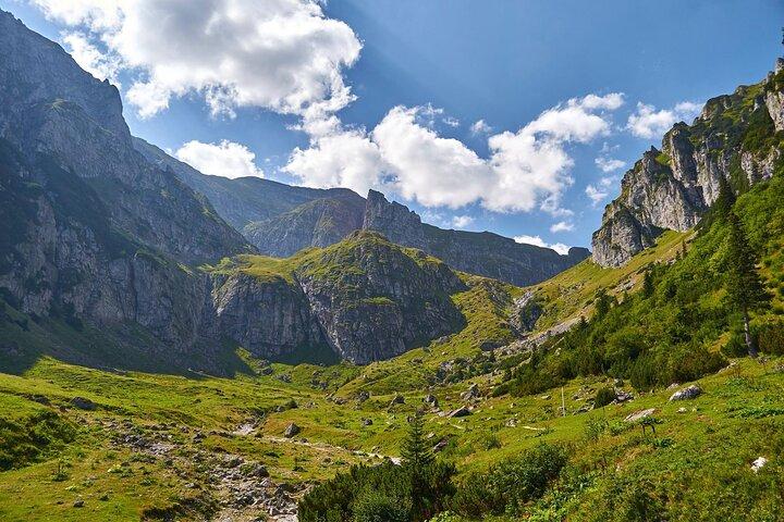 Guidad en natts vandring till Mălăiești Cabin med Bukarest Transfer