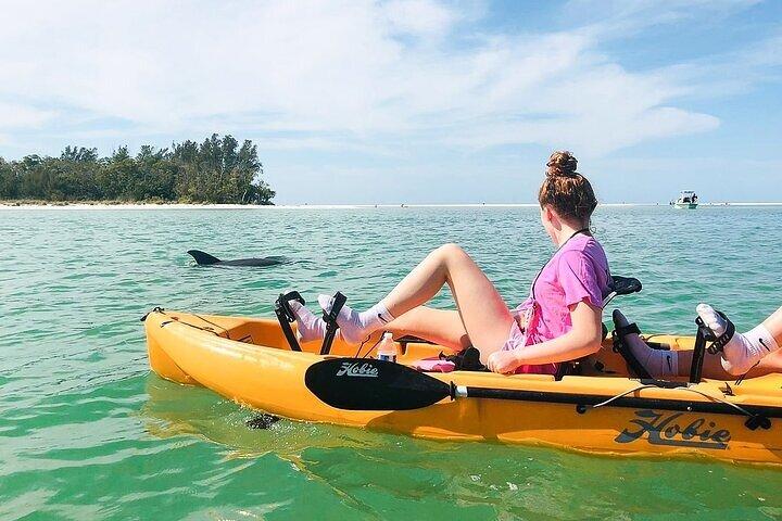 Marco Island and Naples Pedal or Paddle Kayak Tour