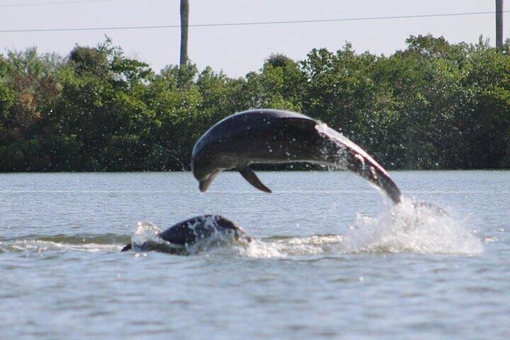 Marco Island and Naples Pedal or Paddle Kayak Tour