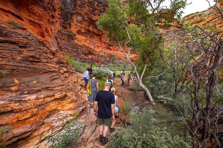 Mirima Walk: Aboriginal Culture & Country