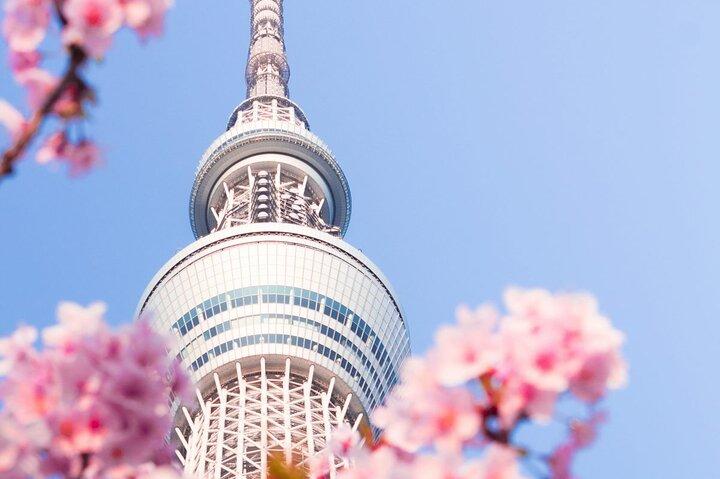 Vip｜東京シグネチャーシティツアー｜プライベートラグジュアリー体験