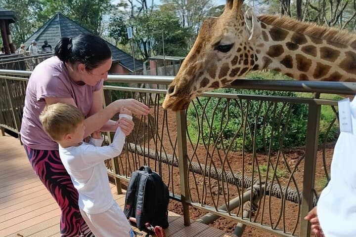 Nairobi Giraffe Centre Wildlife Encounter