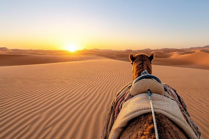 Red Dunes Morning Safari: Dune Bashing, Kamelreiten & Quadfahren