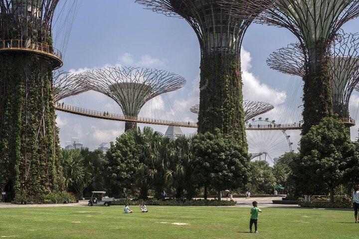 Singapore Garden City: Sites emblématiques, parcs et meilleures vues