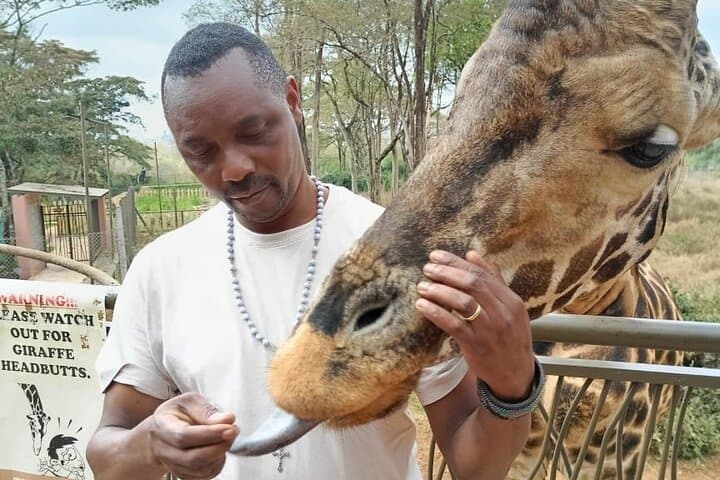 Giraffe Center and Karen Blixen Museum from Nairobi