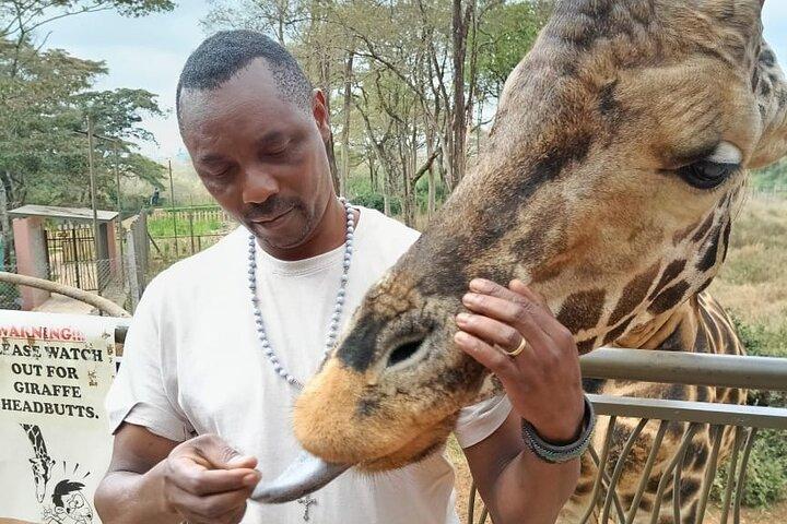 Tour di mezza giornata del Parco Nazionale di Nairobi e Giraffe Centre