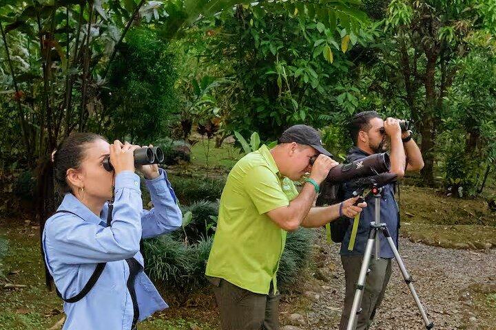 Arenal Birdwatching Tour- Guided Nature Experience