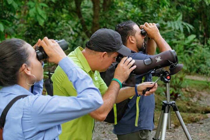Arenal Birdwatching Tour- Guided Nature Experience