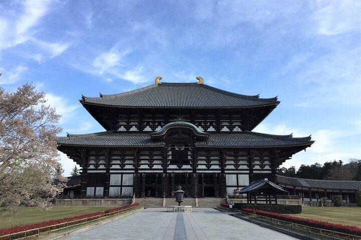 Excursion d'une journée à Osaka et Nara avec transport privé