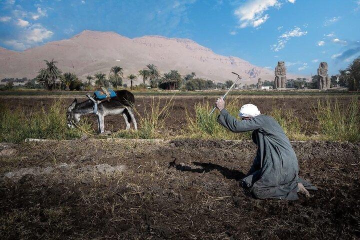 ルクソールで地元の家族に会い、古代の伝統を発見