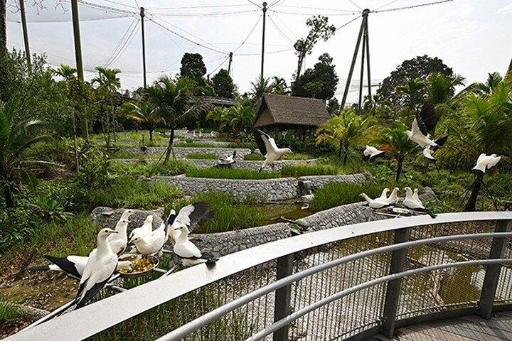 Entrada Mandai Bird Park Singapore
